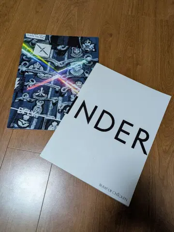 범프 BUMP OF CHICKEN 투어 팜플렛 2권 세트