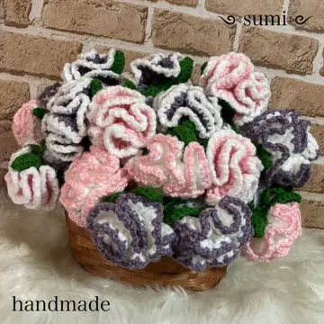 꽃다발 담요 카네이션 퍼플&핑크