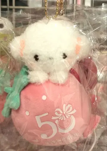 코기뮨 므뉴구루미 산리오 딸기신문 50주년 봉제 인형 마스코트