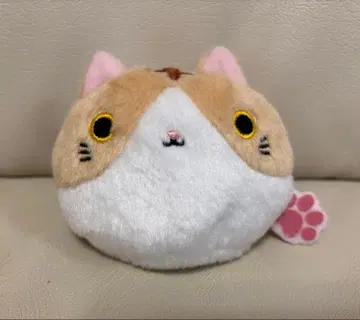 고양이 당고 산에이 무역 아메쇼 챠