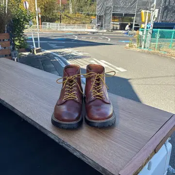 레드윙 8171 [ 자수 깃털 택! ]