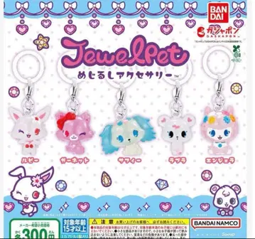 주얼펫 메지루시 액세서리 컴플리트