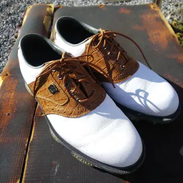 FJ 풋조이 DRY JOYS TOUR 신발