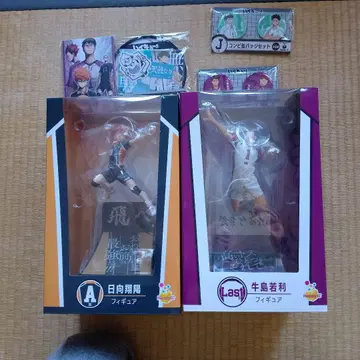 하이큐!! 히나타 쇼요 우시지마 와카토시 피규어 세트