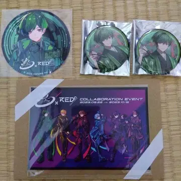 시쿠포니 스치 묶음 판매