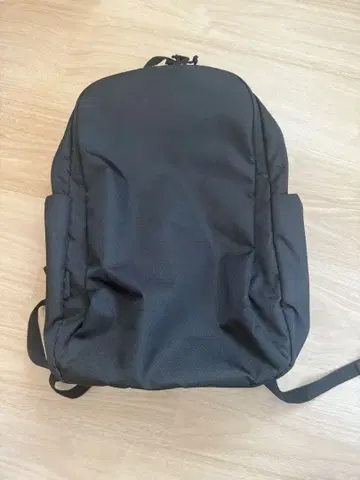 ACE 에이스 darwin 비즈니스 백팩