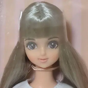 엄선 2025년 5월 제니 & 프렌즈 클럽 사야카 리카짱 캐슬