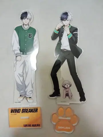 윈블 윈드브레이커 아크릴 스탠드 사쿠라 하루카