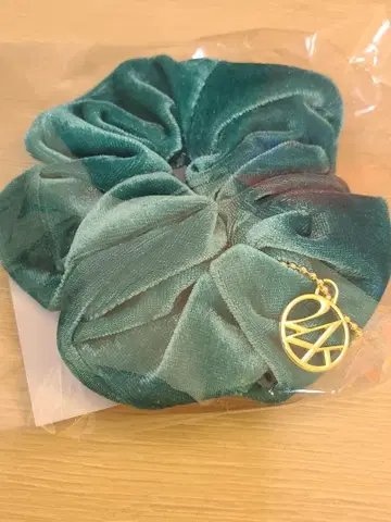 EXILE 의상전 벨로아 스크런치 1