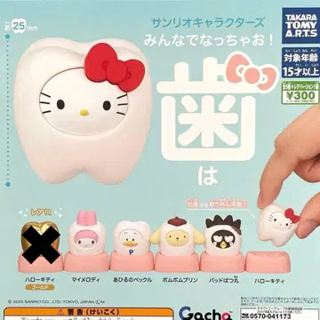 산리오 캐릭터즈 모두 함께 되자! 이 레어 없음 5종 세트