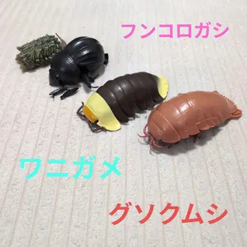 곤충형 캡슐 토이 피규어 세트