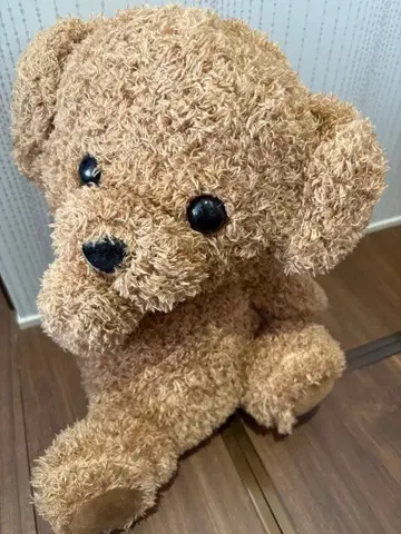 오시오부리 강아지 봉제 인형 초코