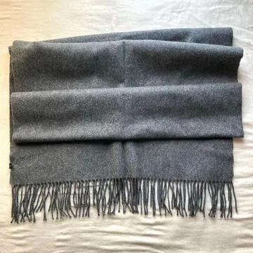 투모로우랜드 대형 스톨