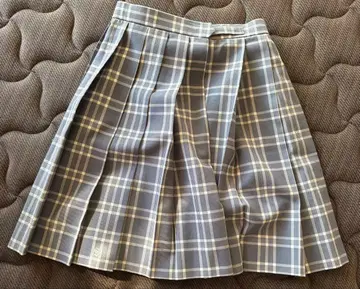 사가미 여자대학 고등부 스커트