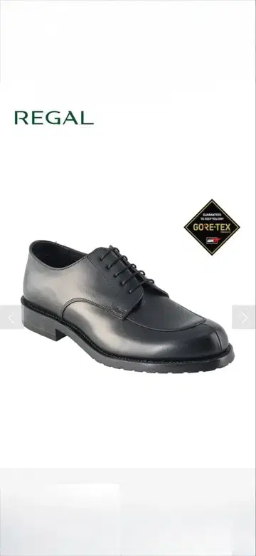 REGAL GORE-TEX 가죽 신발 26.0cm