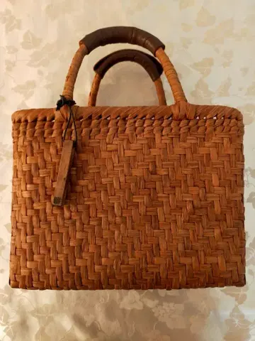 카고야 미나 페르호넨 산포도 바스켓백