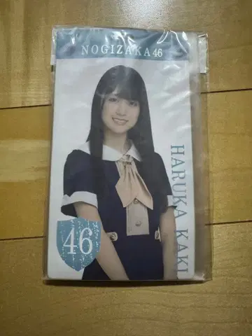 노기자카46 카키 하루카 티켓 홀더 키링
