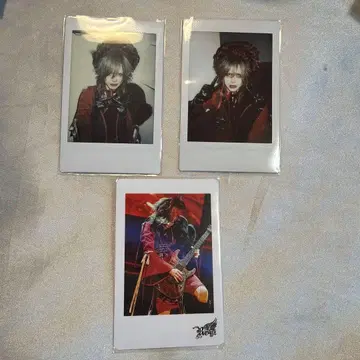 Royz  폴라로이드