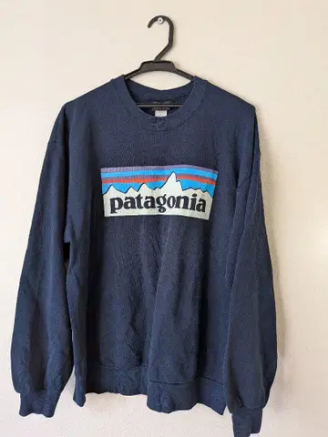 Patagonia 맨투맨 M