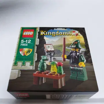 LEGO 레고 킹덤 마법사 7955 정품