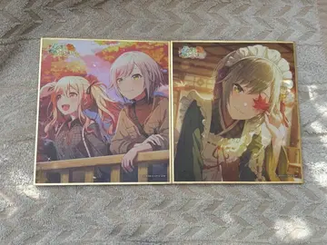 프로세카 색지 시호