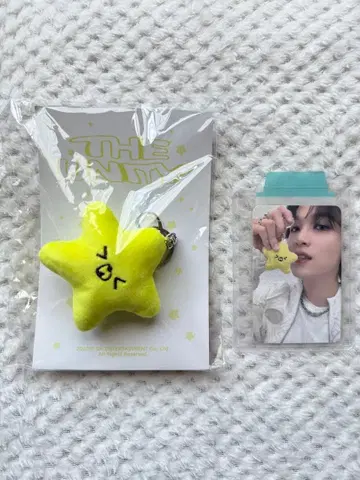 NCT 127 UNITY 해찬 불가사리 키링