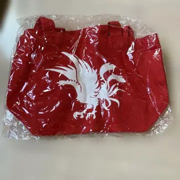 일본대학 phoenix 백