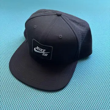 Nike SB 블랙 캡 메쉬