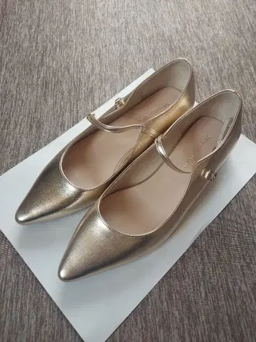 ORiental TRaffic 펌프스