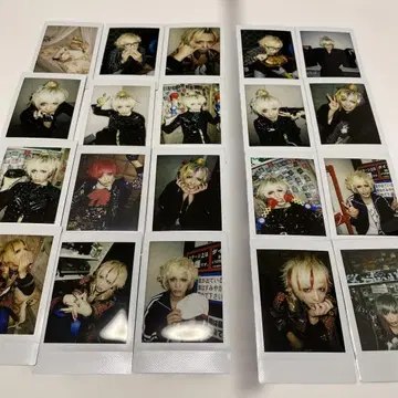 코도모 드래곤 하야토 씨 폴라로이드 37