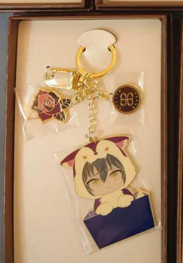 도쿄 디반카 라이카 참