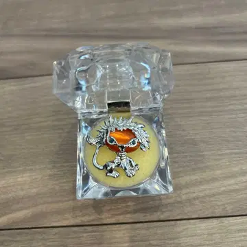 라이온 디자인 실버 액세서리