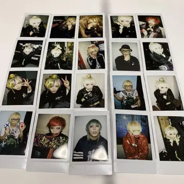 코도모 드래곤 하야토 씨 폴라로이드 38