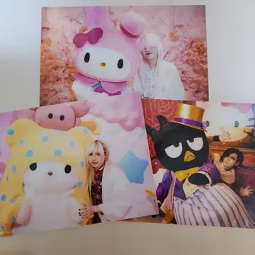 -진천지개벽집단- 지그재그 산리오 퓨로랜드 브로마이드 C 3장 세트