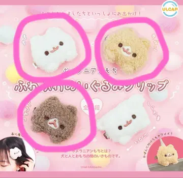 포메라니안 모찌 복슬복슬 봉제 인형 클립 3종 세트 모찌 키나코 쿠로미츠