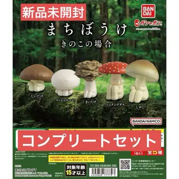 기다림 버섯의 경우 컴플리트 세트