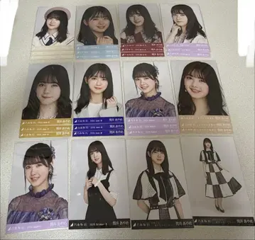 노기자카46 브로마이드 츠츠이 아야메 28장