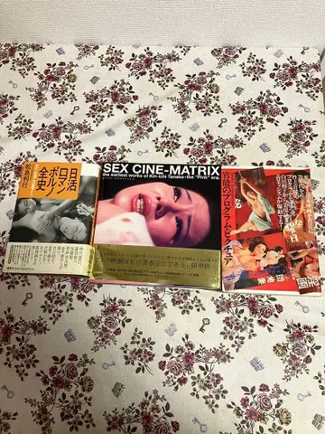 닛카츠 로망 포르노 전사 외