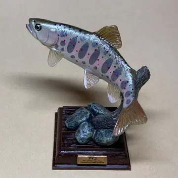 네이처 테크니컬러 일본의 청류 초판 아마고