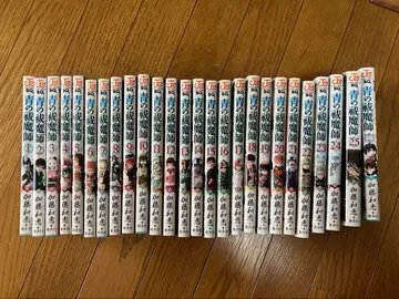 청의 엑소시스트 1-25권 + 정십자 기사단 가이드