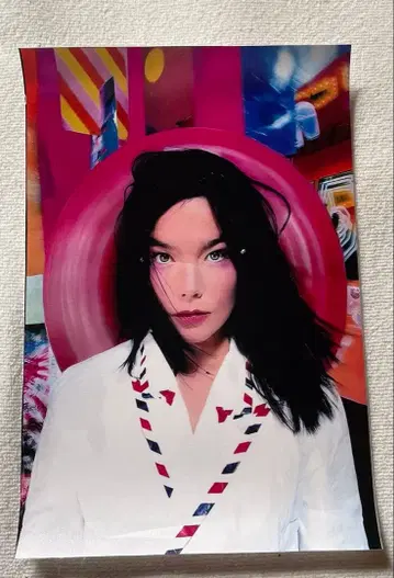 비요크 캔버스 포스터