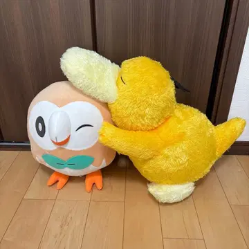 포켓몬스터 메챠모후굿토 봉제 인형 모쿠로 코닥