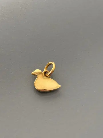 포메라토 도도 참