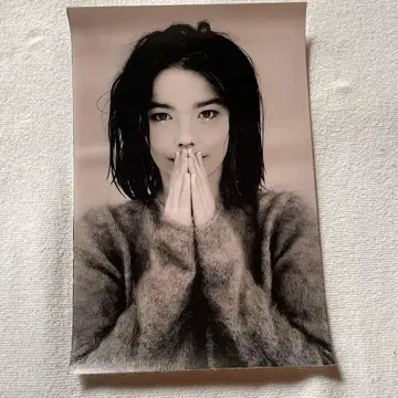 비요크 캔버스 포스터