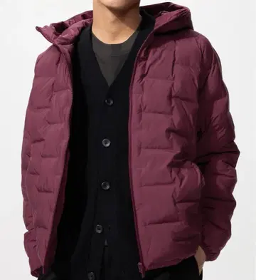 [ 새상품 ] 유니클로 퍼프 테크 후드티 M 사이즈 와인 전점 완판