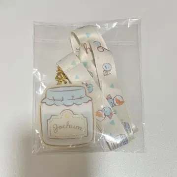 JOCHUM 마이크 넥스트랩