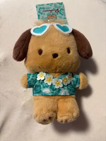 일광화상 포차코