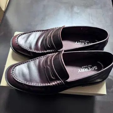 Sperry Manchester Penny Amaretto 26.5cm