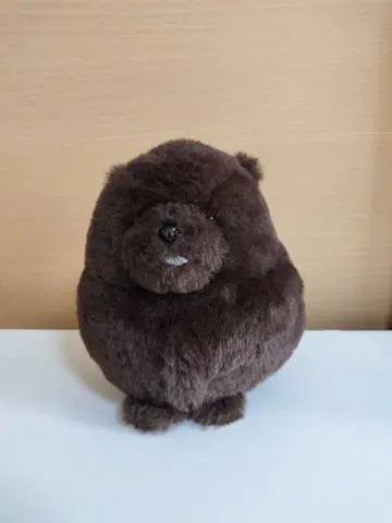 펠리시모 아기 포메라니안의 복슬복슬 파우치 모임 브라운