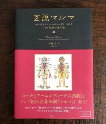 도설 마르마 요가와 아유르베다를 잇는 인도 비전의 신체론